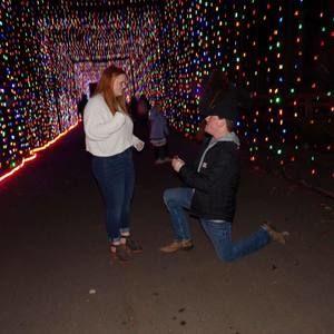 Meet your Posher, Phillip